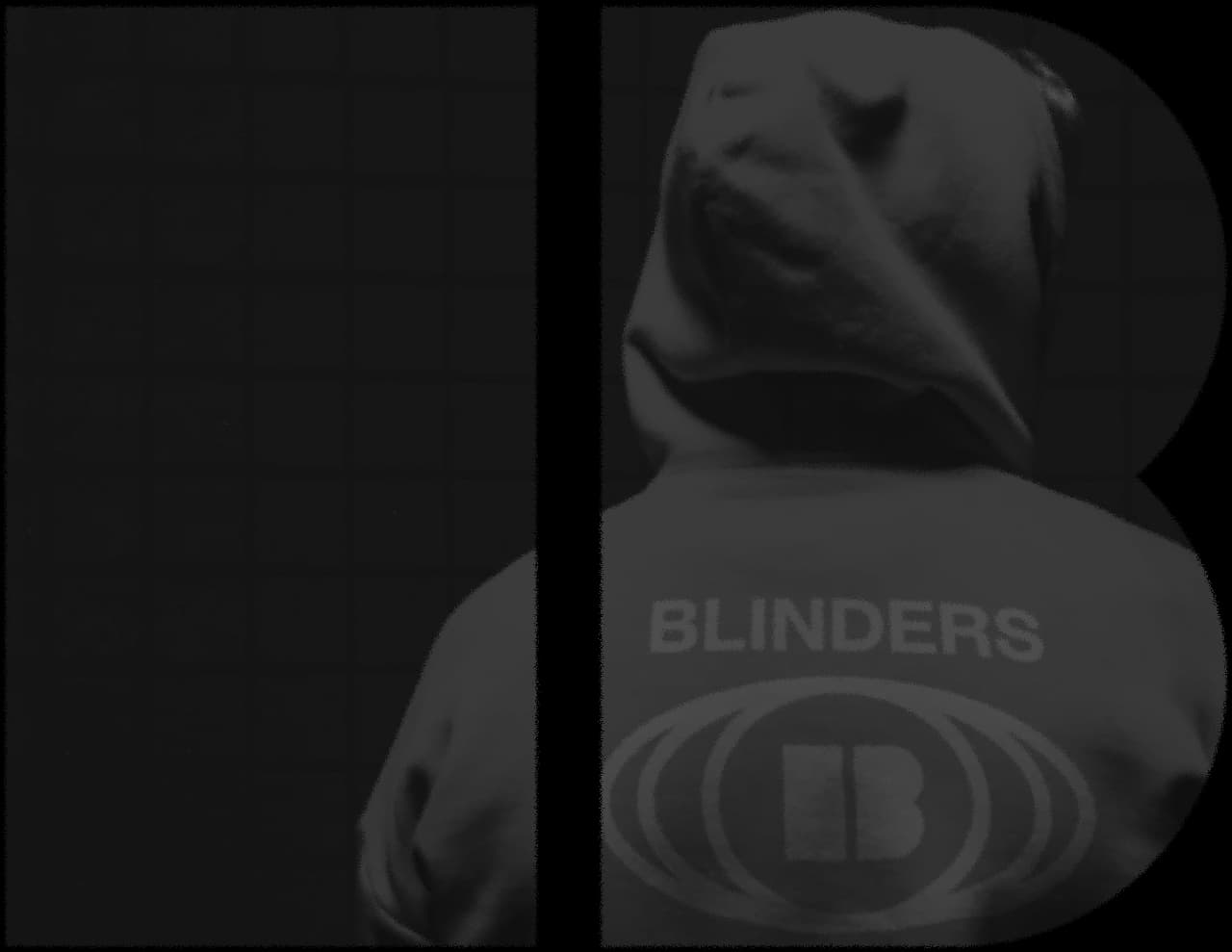 Blinders About Us